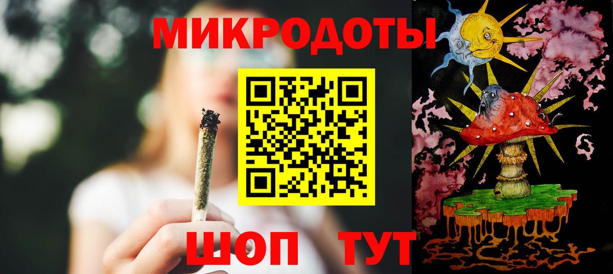 Галлюциногенные грибы Psilocybe Чернушка